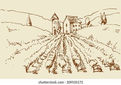 Hand drawn illustration of a vineyard. EPS 10. No transparency. No gradients.