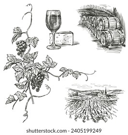 Handgezeichnete Illustration der Weinlandschaft, Weinglas, Käsestück, Lagerung von Weinfässern im Keller, Weinzweig mit reifen Traubensäften, Blättern und Tensiden