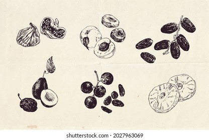 Hand drawn illustration, vintage drawing of dried fruits