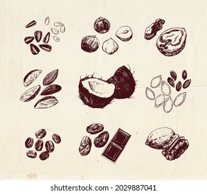 Hand drawn illustration, vintage drawing of nuts and seeds, healthy eating set