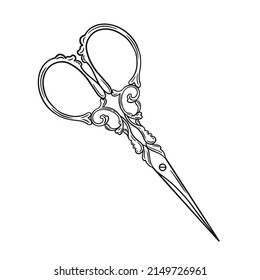 Hand drawn illustration of vintage scissors. Vector line drawing isolated on white background.