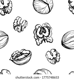 Hand drawn illustration of a walnut pattern. Walnut kernels and shells. Handwritten graphic technique