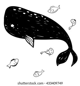 Hand drawn  illustration of whale