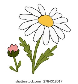 Hand drawn illustration of a white daisy flower with a yellow center and a small pink flower bud isolated on black background