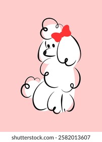 Hand drawn illustration of white poodle with bow on pink background