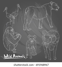hand drawn illustration of wild animals. chalk drawing style