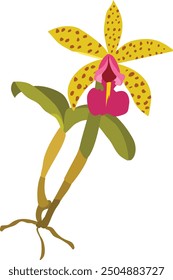 Hand drawn illustration of wild orchid flower yellow wild orchid