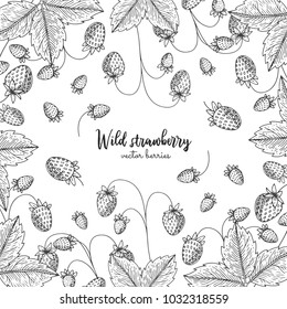 Hand drawn illustration of wild strawberry isolated on white background. Berries engraved style illustration. Detailed frame with berries. Applicable for menu, flyer, label, poster, print, packaging