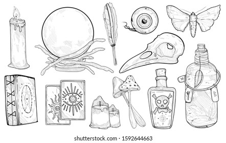 Hand drawn illustration of witchcraft object set on withe background