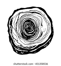 Hand drawn illustration of wood saw cut. Highly detailed ink art in engraved style