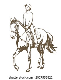 Hand drawn illustration of young horse rider woman performing equine training, horse riding, horse stallion with jockey drawing for equestrian sport vector  