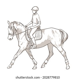 Hand drawn illustration of young woman horse rider with helmet performing equine training, sport horse riding, vector illustration