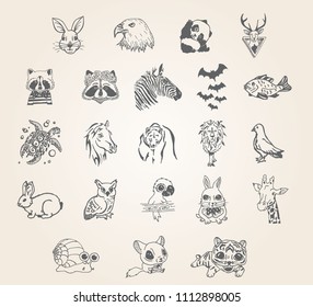 Hand drawn illustrations
