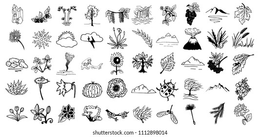 Hand drawn illustrations