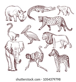 Hand drawn illustrations of african animals. Vector animal african nature, sketch wild mammal