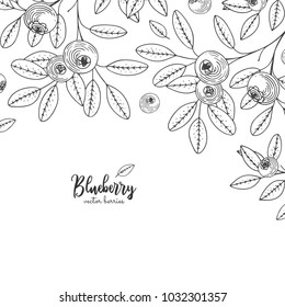 Hand drawn illustrations of blueberry isolated on white background. Detailed frame with blueberries. Engraving sketch vintage style. Applicable for menu, brochures, flyers.