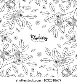 Hand drawn illustrations of blueberry isolated on white background. Detailed frame with blueberries. Engraving sketch vintage style. Applicable for menu, brochures, flyers.