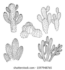  hand drawn illustrations with cactus set vector