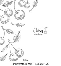 Hand drawn illustrations of cherries isolated on white background. Berries engraved style illustration. Detailed frame with cherry. Applicable for menu, flyer, label, poster, print, packaging