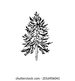 hand drawn illustrations of christmas trees. Vector doodles for your design, cards, Christmas posters. Isolated on white background