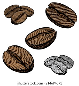 Hand Drawn Illustrations of Coffee Beans