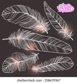 Hand drawn illustrations of feather