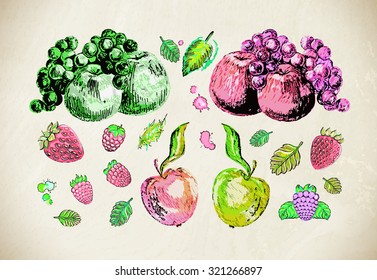 Hand drawn illustrations of fruits, berries  with green leaves. Fruits  in sketch style. Apples, grapes, raspberry, strawberry, blackberry.