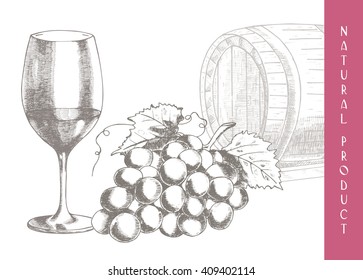 Hand drawn illustrations of grapes and  wine-making