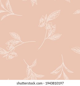 Ilustraciones dibujadas a mano de hierbas de té verdes sobre la textura sin soldadura, patrón floral