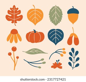 Hand drawn illustrations of leaves, acorns, berries, branches, pumpkin, flowers in autumn colors. Cute cliparts for design of card, thanksgiving invitation, sticker, diary decoration. Flat design
