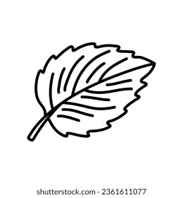 Hand drawn illustrations of mint leaves isolated on white background