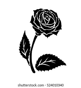 Hand drawn illustrations of rose