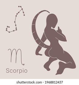 Hand drawn illustrations of scorpio zodiac, sign, constellation