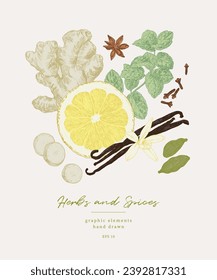 Hand drawn illustrations of spices and culinary herbs. Graphic elements for cook book design , restaurant menu and recipe sheets