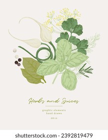 Ilustraciones hechas a mano de especias y hierbas culinarias. Elementos gráficos para el diseño de libros de cocina, menú de restaurante y hojas de recetas