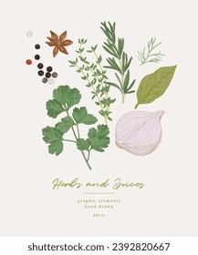 Ilustraciones hechas a mano de especias y hierbas culinarias. Elementos gráficos para el diseño de libros de cocina, menú de restaurante y hojas de recetas