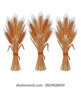 Hand drawn illustrations of three wheat sheaves isolated on white background in a decorative style