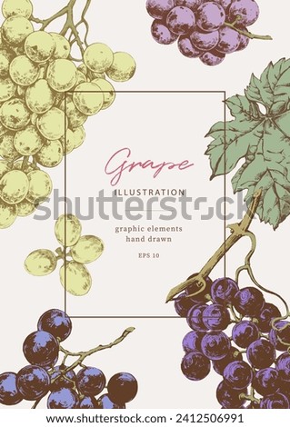Hand drawn illustrations of various kind of grape with leaves, vintage graphic elements. Border template for wine list and winemaking banners