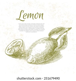 Hand drawn illustrations of yellow lemon fruits