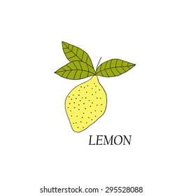 Hand drawn illustrations of yellow lemon