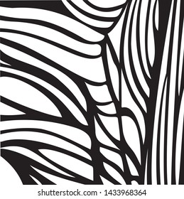Hand drawn illustration.Texture.Line.Vector.Black and white