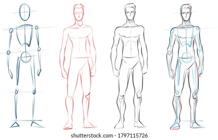 Hand Drawn Illustratioon Or Drawing Of Some Human Male Body Silhouette Drawings
