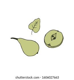 Hand drawn image of apples and pears. Vector illustration isolated on a white background.

