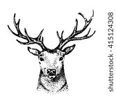 hand drawn image of big buck head with large antlers white-tail deer.