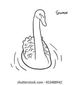 Hand drawn image of swan isolated on white background. Art vector illustration.