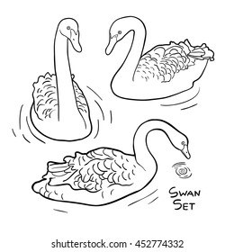Hand drawn image of swan isolated on white background. Art vector illustration.