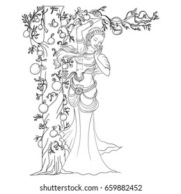Hand drawn Indian Women standing under the cannon Ball Tree ,Pregnant women with Couroupita guianensis tree vector