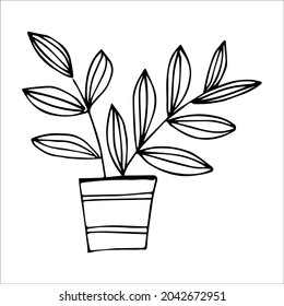 Planta interior dibujada a mano en una olla, diseño de doodle. Plantas domésticas. Ilustración para imprenta, web, móvil e infografía.