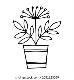 Hand drawn indoor plant in a pot, doodle design. Home plants. Illustration for print, web, mobile and infographics.