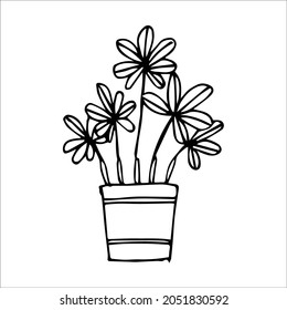 Hand drawn indoor plant in a pot, doodle design. Home plants. Illustration for print, web, mobile and infographics.